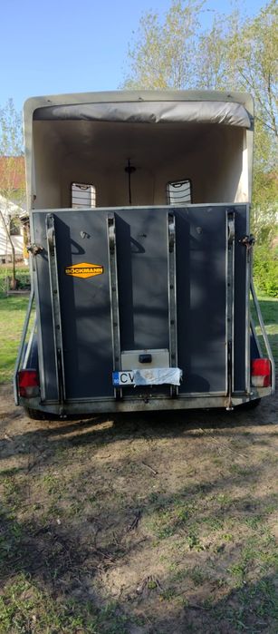 Super ofertă pentru iubitorii de animale!