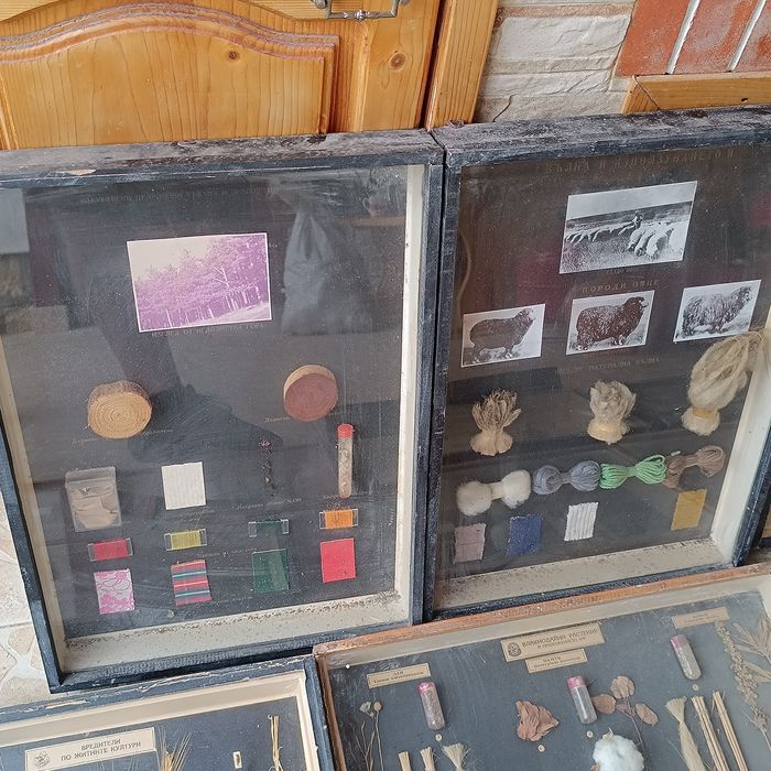 Учебни модели по Биология и география в дървена рамка със стъкло