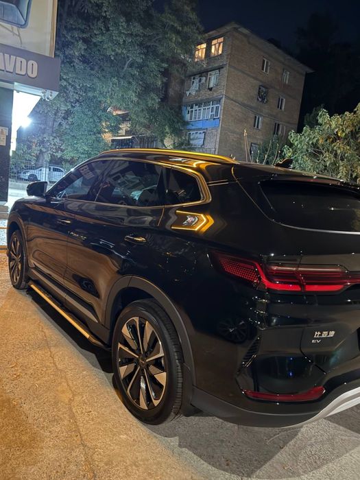 BYD champion 605km 2024/25