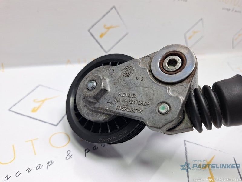 intinzator curea accesorii VOLKSWAGEN PASSAT Variant 3B6 2000 - 2005 TDI AVB F234709100