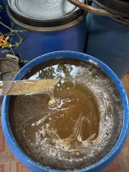 Asal honey мед для продажи