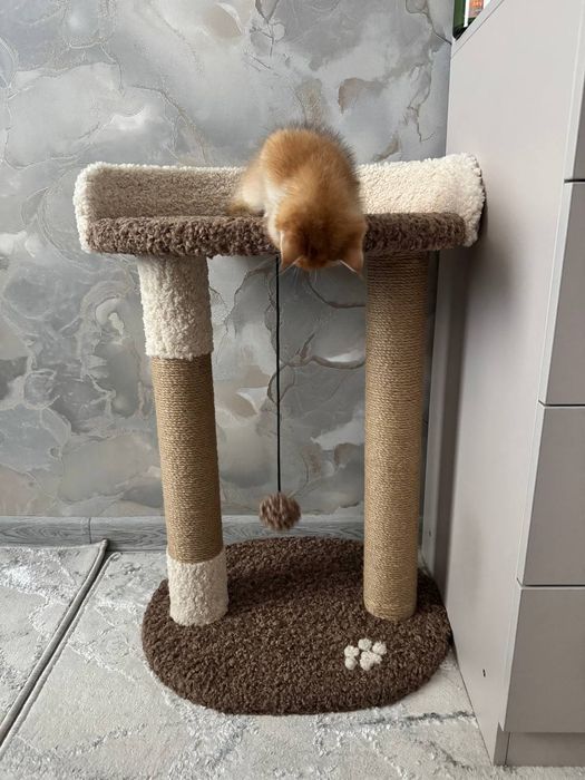 Когтеточка для кошек. Лежанка большая . Зоодомики