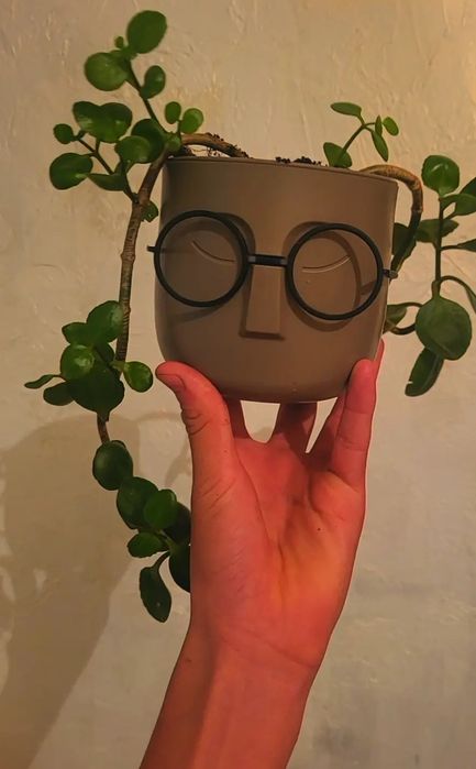 Гүл сатлады горшргымен