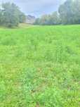 Vând Teren Intravilan .Suprafață de 7100 m2.