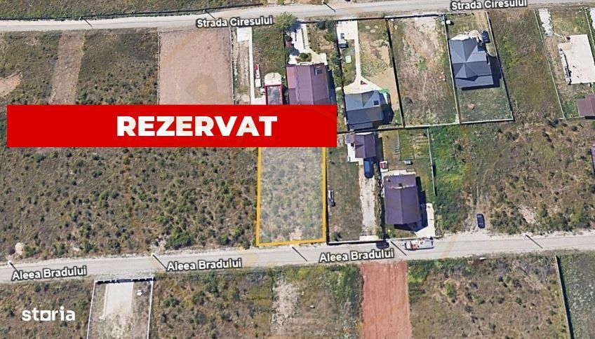 Teren Trivale - Aleea Bradului - Zona excelenta