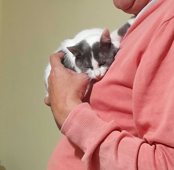 Кая и Мони търсят дом