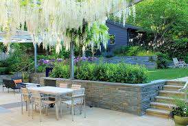 planta cataratoare...wisteria
