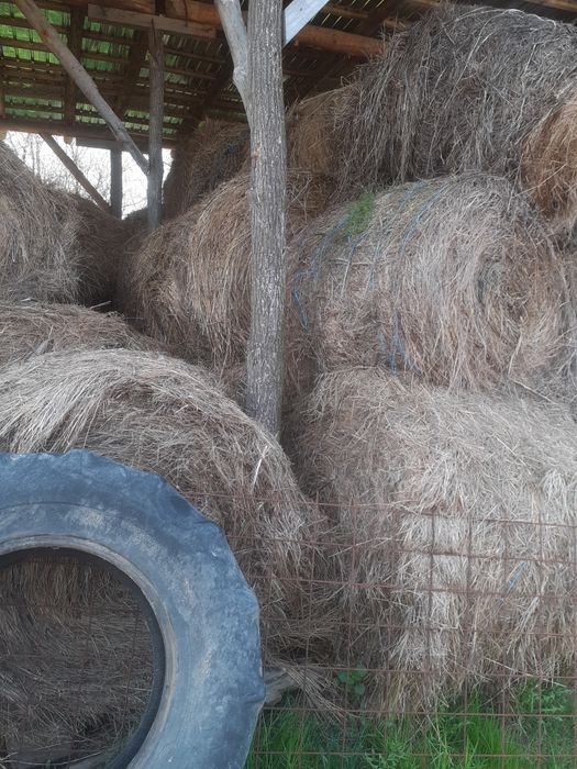 Baloti de fân schimb cu animale