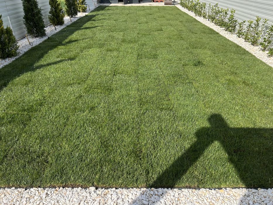 Rulouri de gazon-Rustic