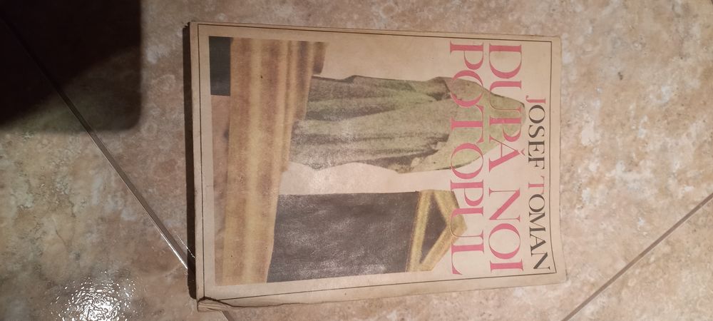 Romane Autori Romani