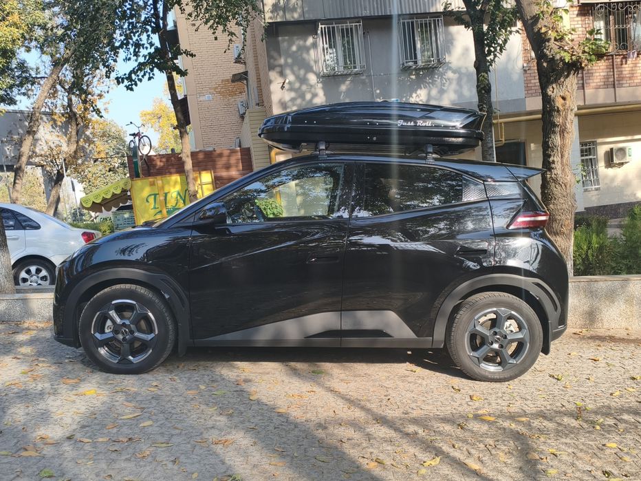 BYD seagull 2024