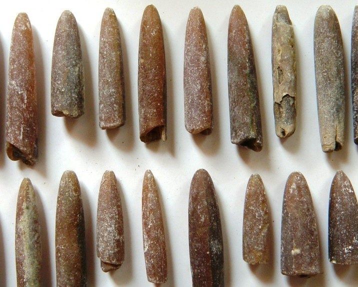 Продам Белемнит ( Чертов палец)