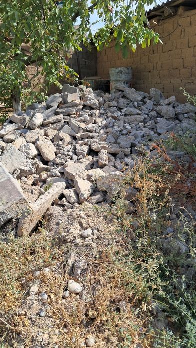 Блужник в Турланке.