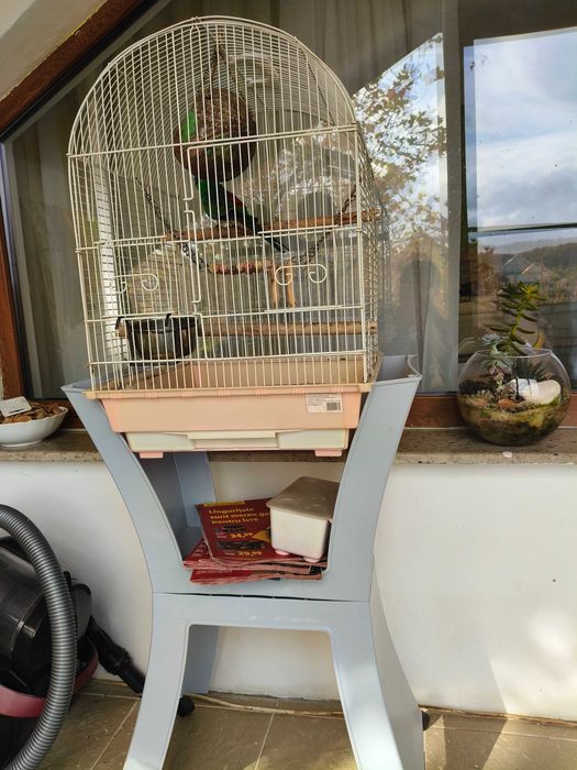 Papagal cântător cu tot cu colivie