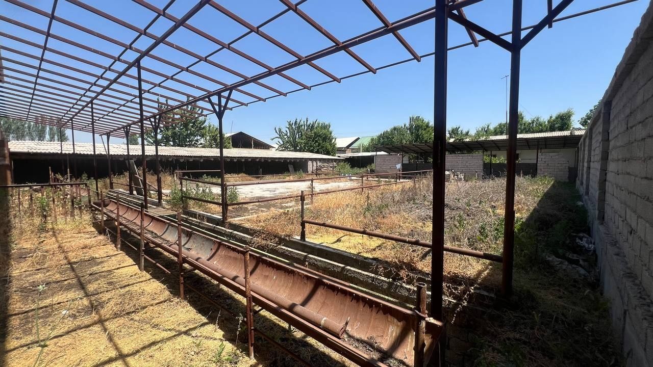 Arenda Ferma Xalqabod Yangiyol