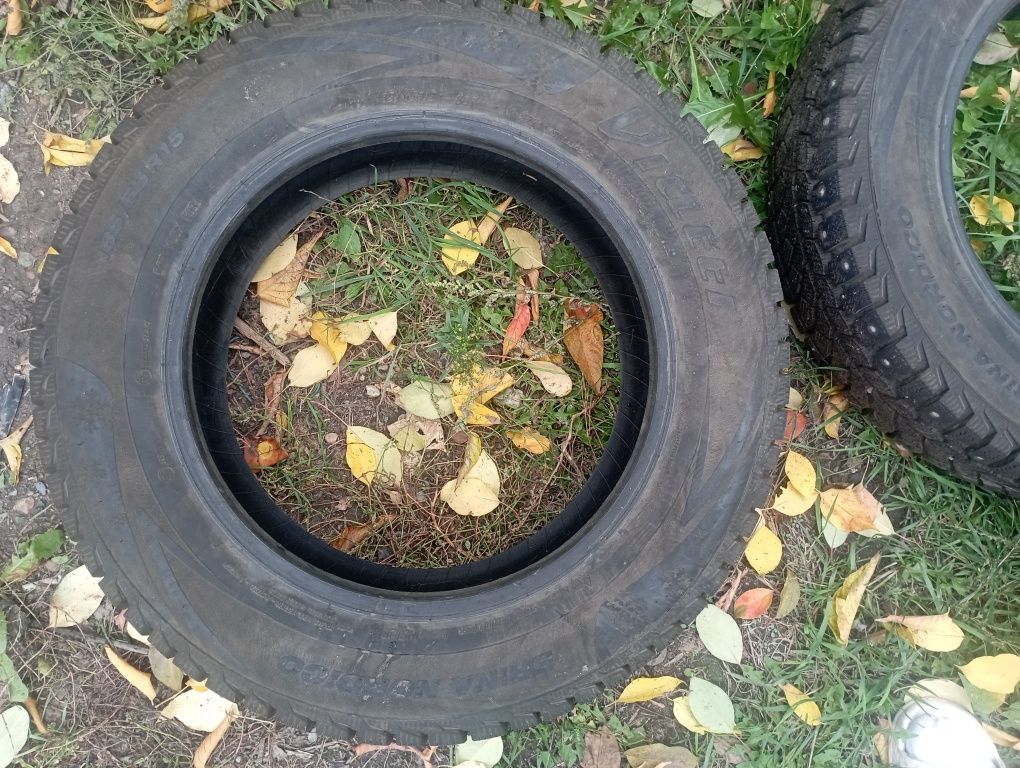 Зимние шины шипы