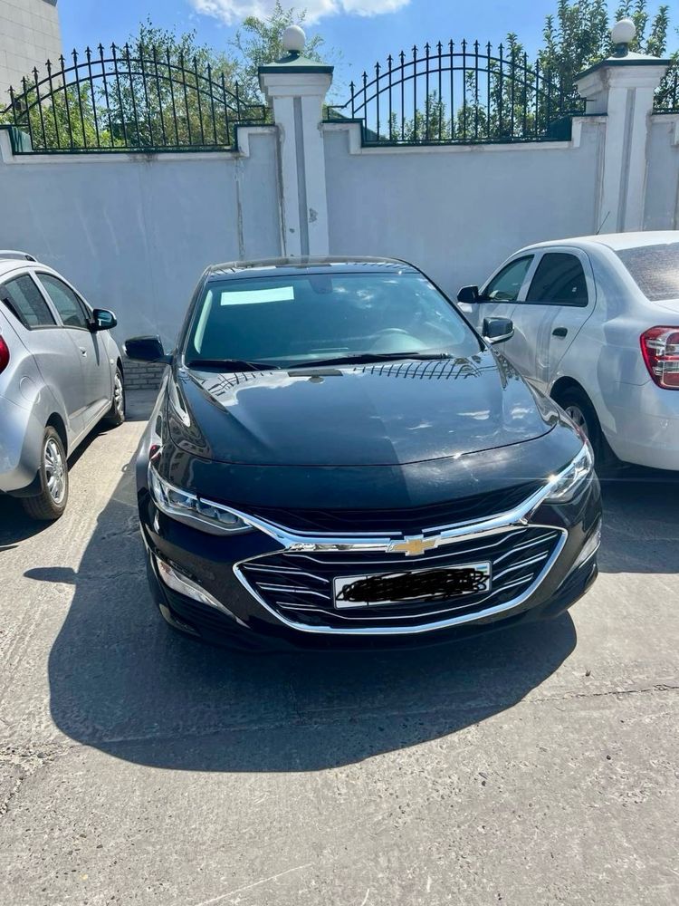 Malibu 2 Primer 2021
