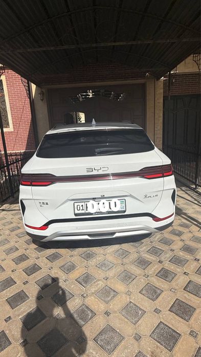 Byd Champion full 605