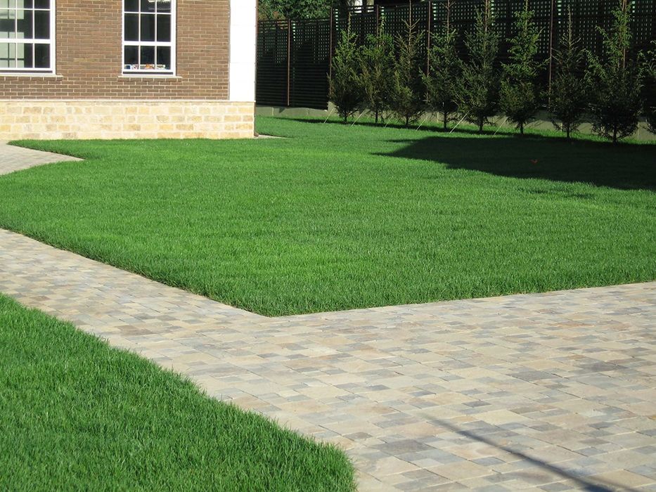 Стрижка газона профессионально