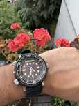 Seiko SNJ025P1 Arnie