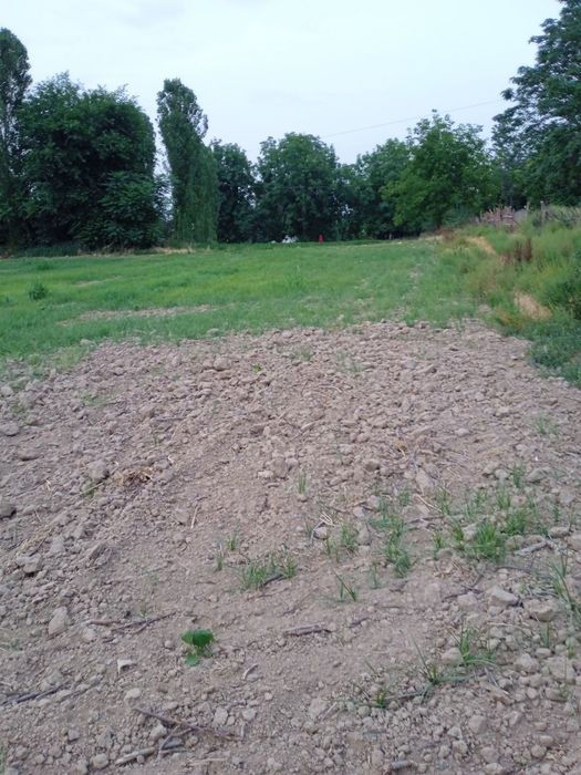 Yer sotiladi 6 sotix