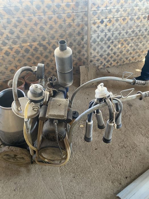 Sigir sogʻadigon aparat germaniski