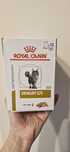 Hrana umeda Royal Canin Urinary S/O Pisici