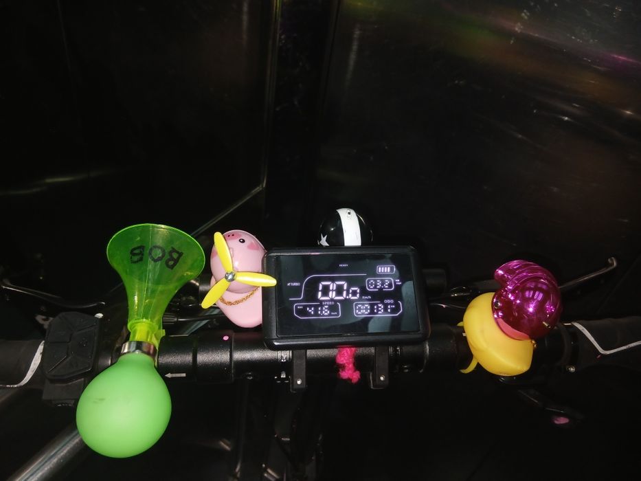 Trotinetă electrică Ruptor R1 lite