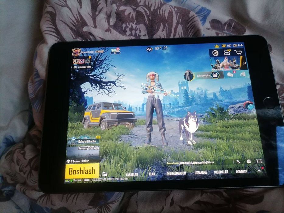 iPad mini 5 ( 5 avlod)