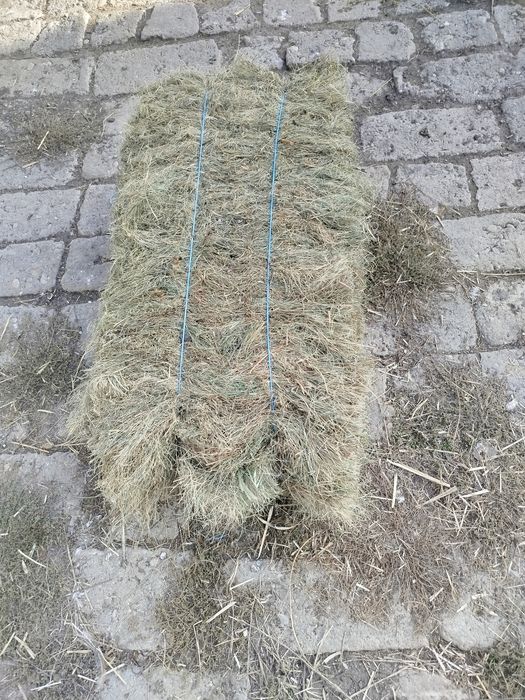 Baloți otava  dreptunghiulari