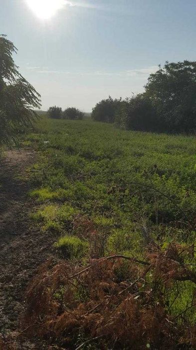 Vand casa cu teren, localitatea Sinoe, comuna Mihai Viteazu