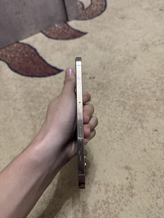Iphone 12 Pro Max 256gb LL\A Gold