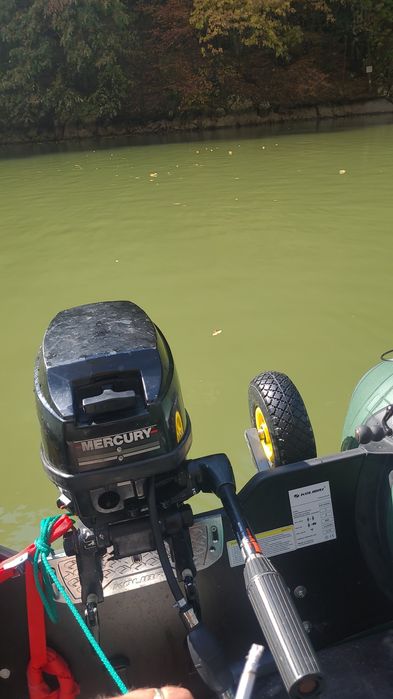 Vand Mercury 9.9cp 2 timpi