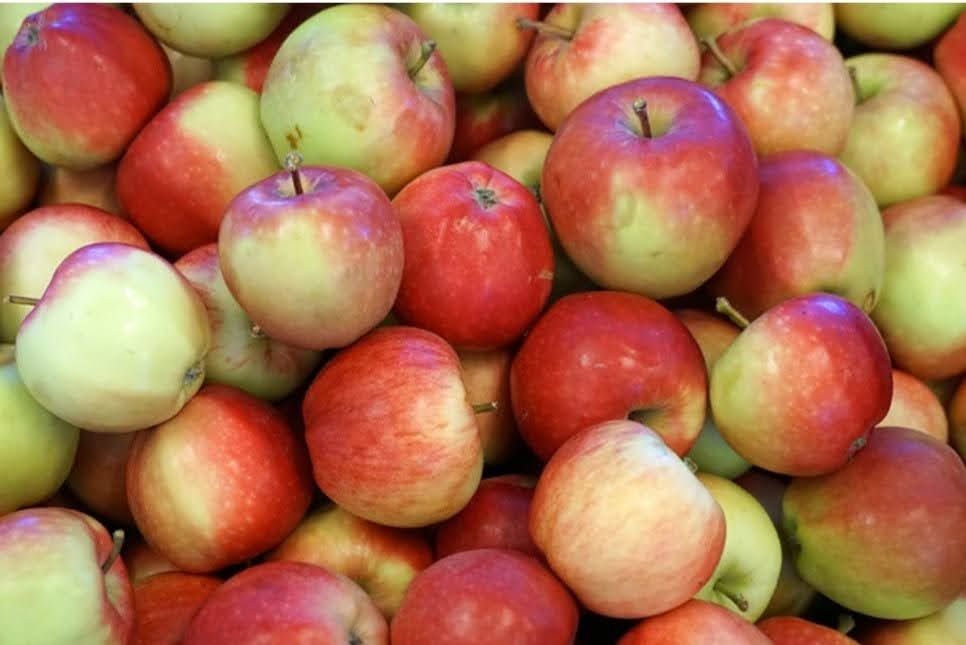 Натуральный яблочный уксус