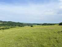 Păsune 4,75 ha + 2,74 ha padure