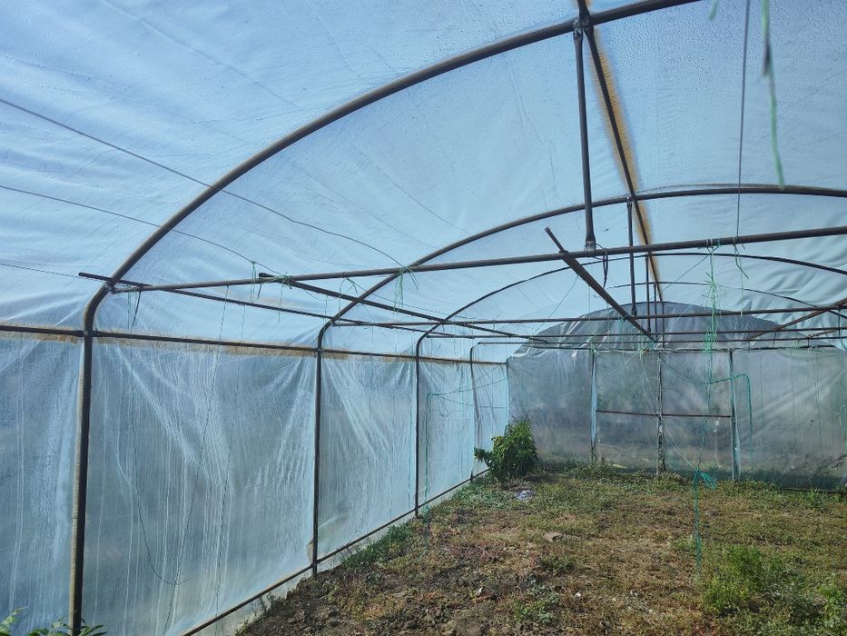 Vând  Solar legume 5x10- 50 mp