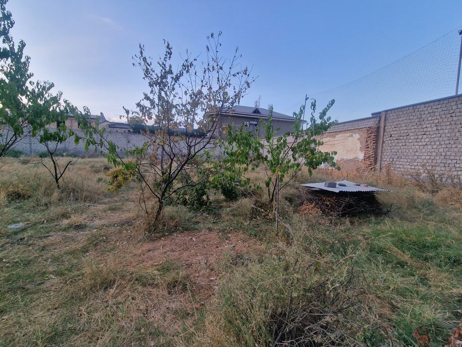 Ттз Кибрай Дормон 21 сот Дурмень