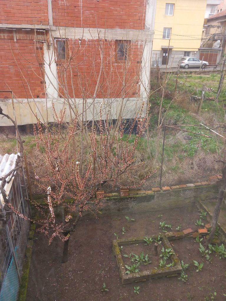 Продава се Етаж от къща в Кюстендил, Герена - 63 кв.м за 632 €/кв.м - Снимка #8