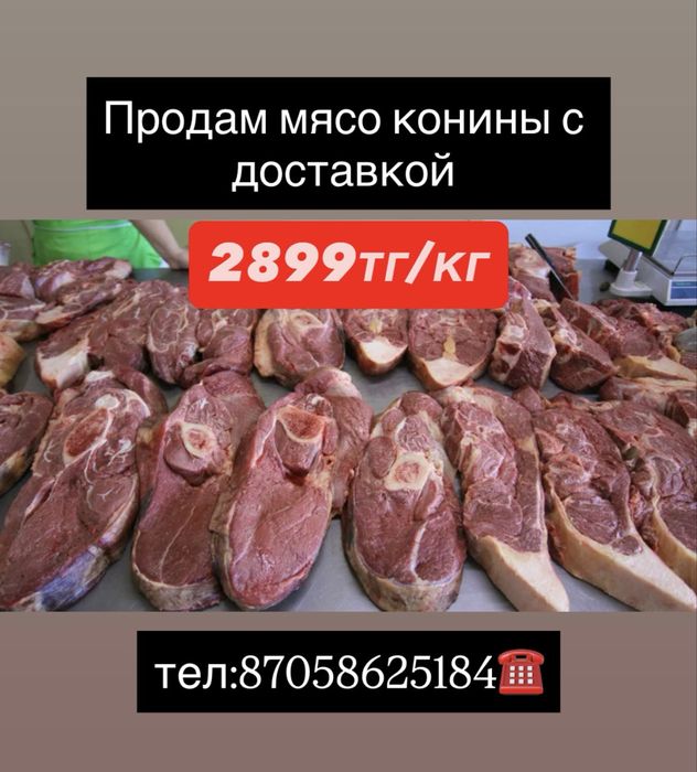 Мясо конины, Жылқы еті (соғым)