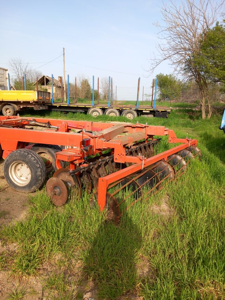 Disc V plug Rabe
