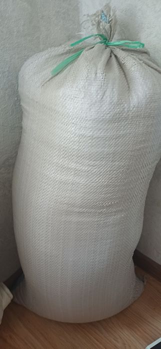 Пшеница пшеничная