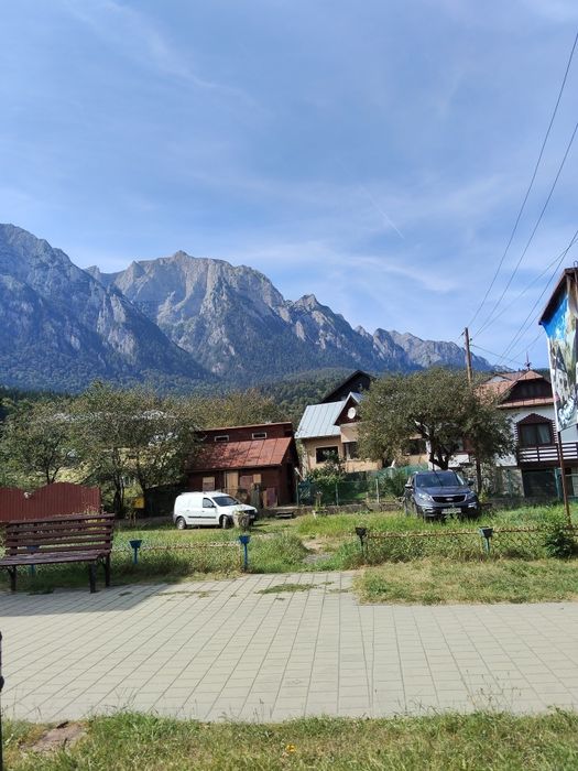 Meditații limba romana 120 lei