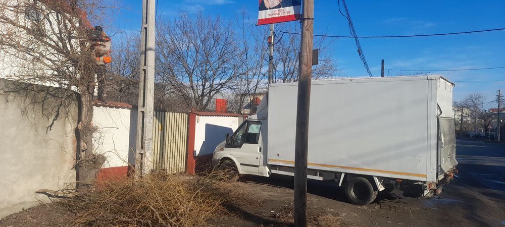 Taiere copaci toaletare frezare cioate