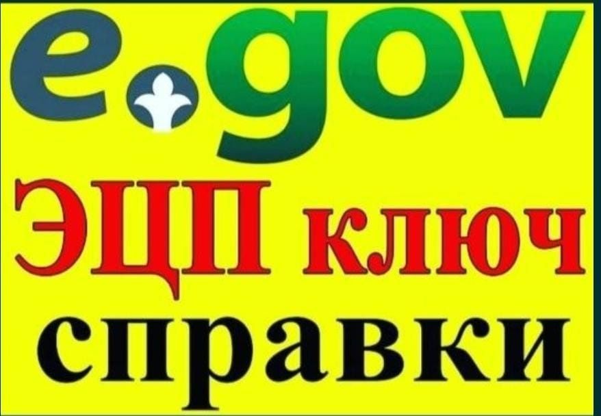 Программист услуги и егов другие