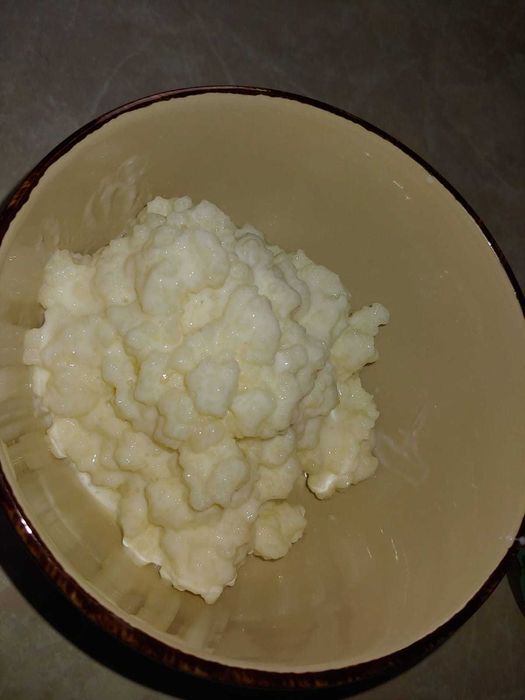 Vand ciuperca tibetana de kefir