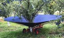 Umbrela recoltat prune, cirese ,visine ,alune ,nuci