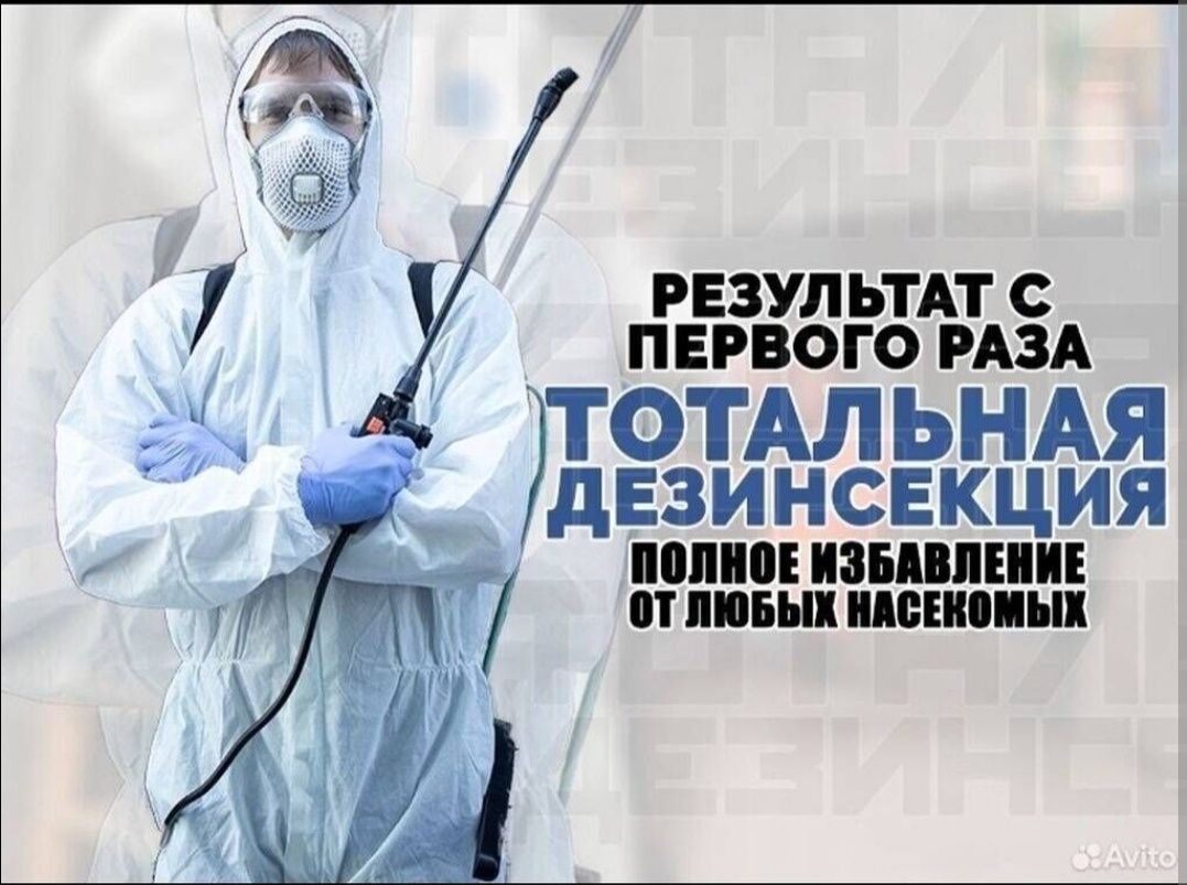 Dezinfeksiya, Дезинфекция, Дератизация, Дезинсекция