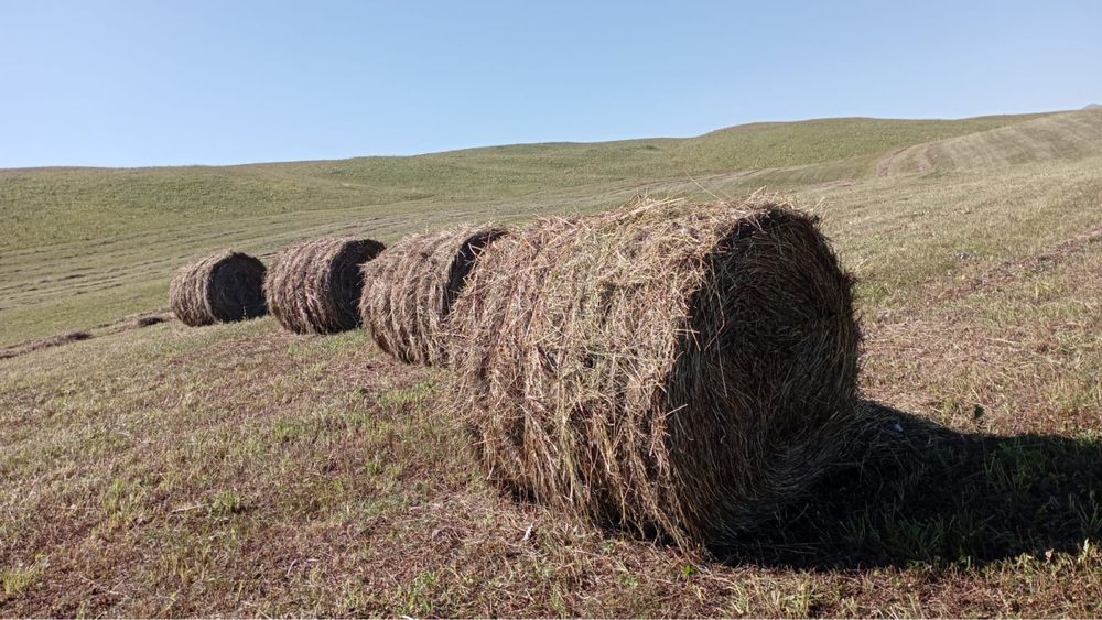 Продам руллон пресс подбойщик