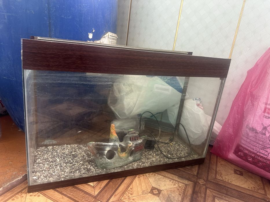 Аквариум хорошем состаяни