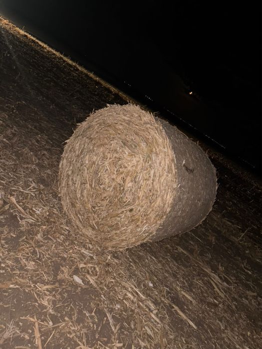Vand baloti de tocatură